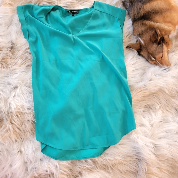 Express Tops - Express Silky Blouse